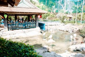 HỌC MÀ CHƠI – KHÁM PHÁ THẾ GIỚI ĐỘNG VẬT TẠI THẢO CẦM VIÊN SÀI GÒN 5