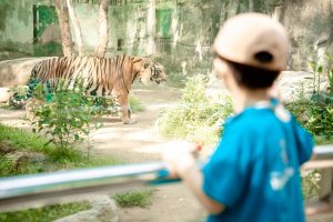 HỌC MÀ CHƠI – KHÁM PHÁ THẾ GIỚI ĐỘNG VẬT TẠI THẢO CẦM VIÊN SÀI GÒN 9