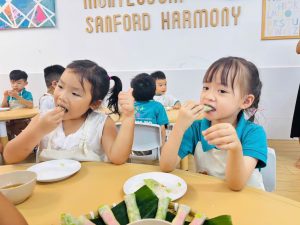 KỸ NĂNG SỐNG: BÉ LÀM BÁNH TRÁNG CUỐN 11